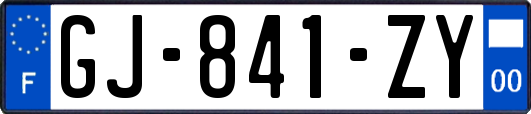 GJ-841-ZY