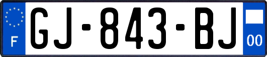 GJ-843-BJ