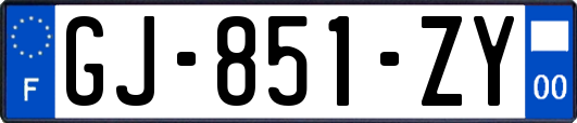 GJ-851-ZY