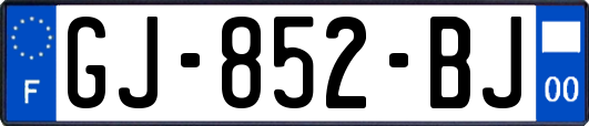 GJ-852-BJ