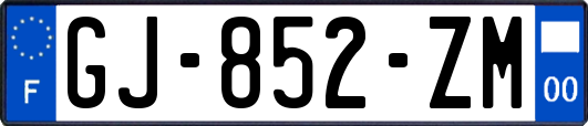 GJ-852-ZM