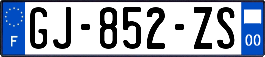 GJ-852-ZS