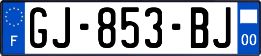 GJ-853-BJ