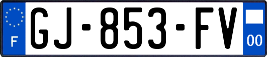 GJ-853-FV