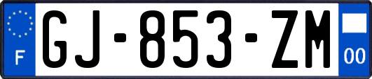 GJ-853-ZM