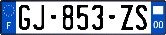 GJ-853-ZS