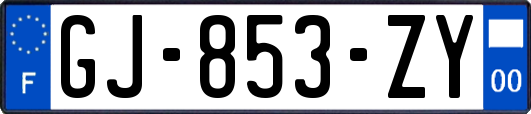 GJ-853-ZY