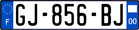 GJ-856-BJ