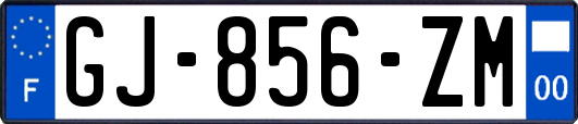 GJ-856-ZM