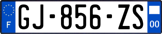 GJ-856-ZS