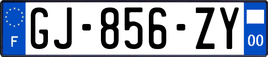 GJ-856-ZY