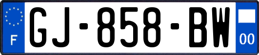 GJ-858-BW