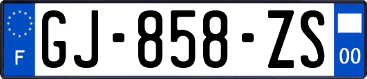 GJ-858-ZS