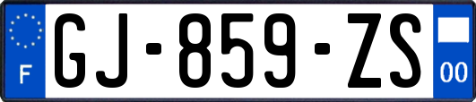 GJ-859-ZS