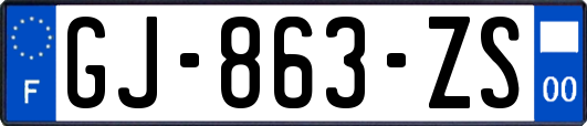 GJ-863-ZS
