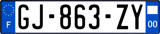 GJ-863-ZY