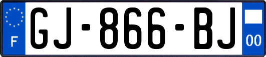 GJ-866-BJ