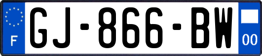 GJ-866-BW