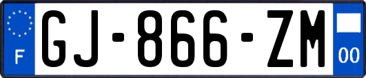 GJ-866-ZM