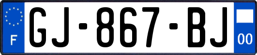 GJ-867-BJ