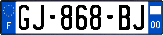 GJ-868-BJ