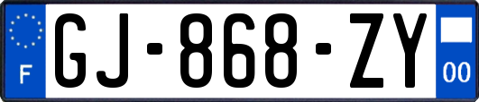 GJ-868-ZY