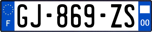 GJ-869-ZS