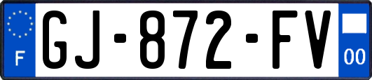GJ-872-FV
