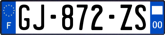 GJ-872-ZS