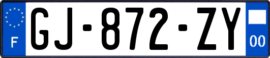 GJ-872-ZY