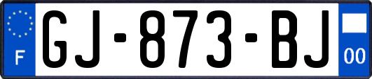 GJ-873-BJ