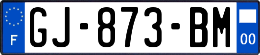 GJ-873-BM