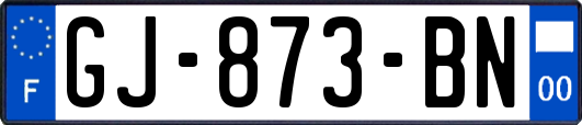 GJ-873-BN