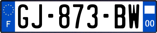 GJ-873-BW