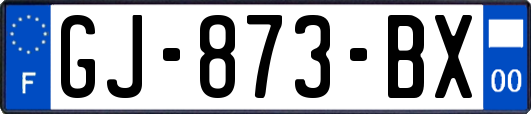 GJ-873-BX