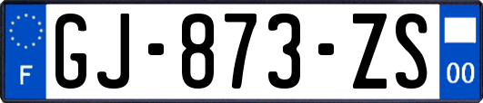 GJ-873-ZS