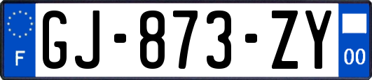 GJ-873-ZY
