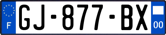 GJ-877-BX