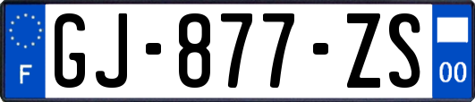 GJ-877-ZS