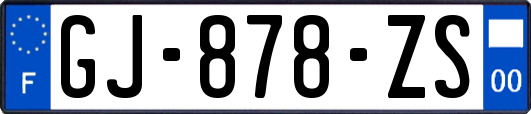 GJ-878-ZS