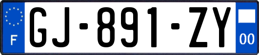 GJ-891-ZY
