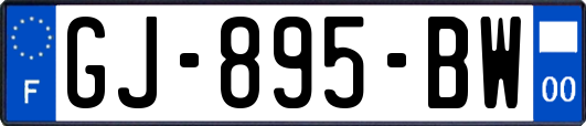 GJ-895-BW