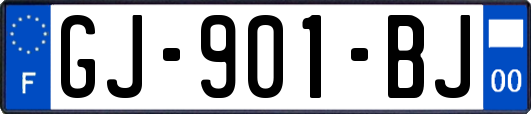 GJ-901-BJ