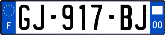 GJ-917-BJ