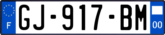 GJ-917-BM