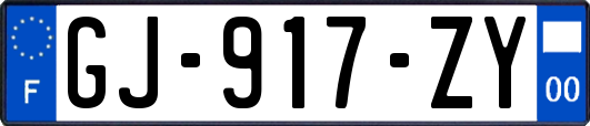 GJ-917-ZY