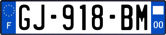 GJ-918-BM