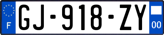 GJ-918-ZY