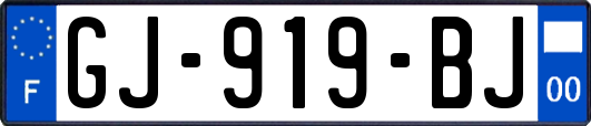 GJ-919-BJ