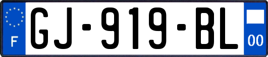 GJ-919-BL